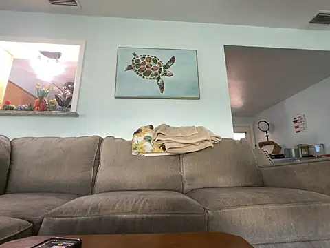 Snapshot of hatgirlsolo chatting on 12/01/25, 08:14 hatgirlsolo online show from 12/01/25, 08:14