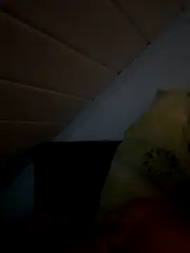 superbertok online show from 11/20/25, 08:30