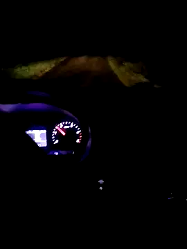 pino870 online show from 11/18/25, 11:26