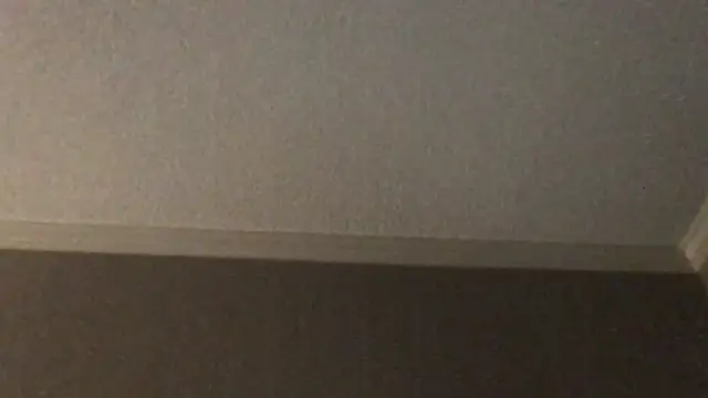 Snapshot of RyanSteeleXXX chatting on 12/02/25, 06:41 RyanSteeleXXX online show from 12/02/25, 06:41