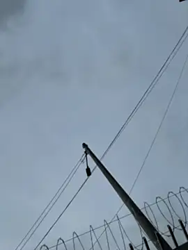 Samantha firee online show from 04/13/26, 11:16