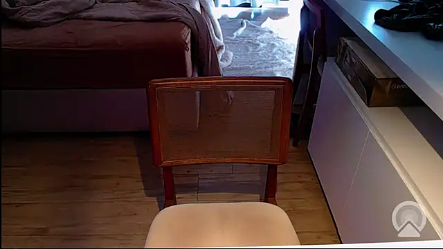 Snapshot of Professor__Discreto chatting on 07/02/26, 04:13 Professor Discreto online show from 07/02/26, 04:13