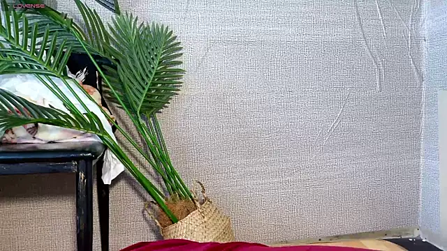 0xiaosu0 online show from 12/20/25, 03:24