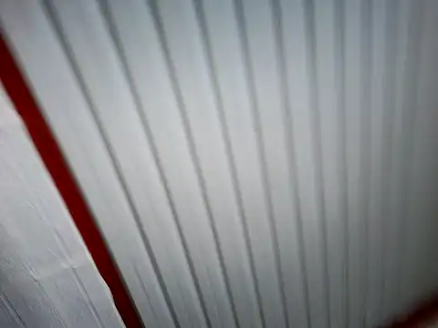 xwildflowerx online show from 03/03/26, 09:21