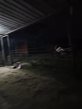 taylor1991V online show from 12/01/25, 11:43