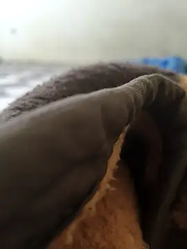 Realverse online show from 11/05/25, 04:40