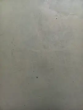 Snapshot of kashAsia chatting on 03/02/26, 08:10 kashAsia online show from 03/02/26, 08:10