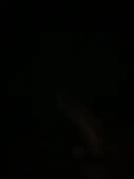 Manfredini607452 online show from 02/04/26, 01:11