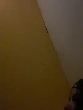 Lily bood online show from 11/17/25, 10:48