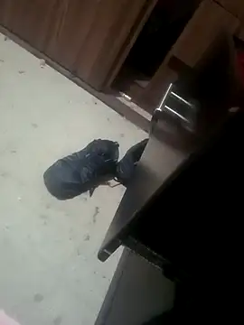 Yerackhip online show from 01/17/26, 07:46