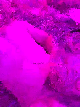 PitoDuroWuero online show from 11/27/25, 11:34