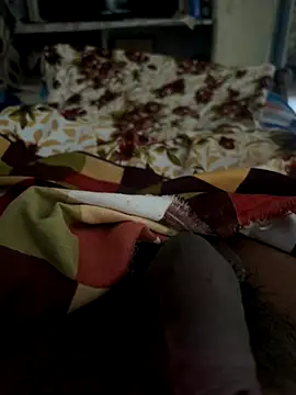 playboyoftelugu online show from 11/08/25, 05:40