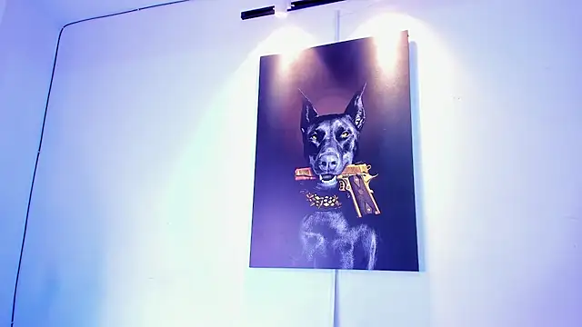 stiven 24cm online show from 11/28/25, 07:11