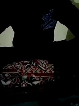 akram306 online show from 03/27/26, 08:08