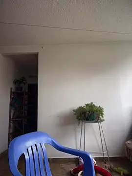 Nick juniorrx online show from 11/28/25, 04:20