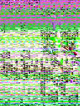 leenaboyxh online show from 11/27/25, 04:31