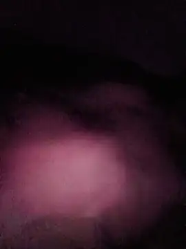 Snapshot of White_chocolate69 chatting on 12/21/25, 02:35 White chocolate69 online show from 12/21/25, 02:35