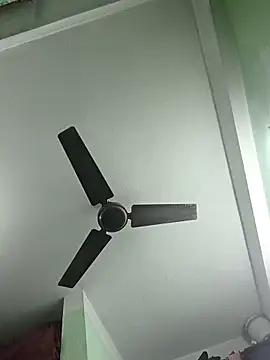 butterflydoll55sexolina online show from 11/20/25, 09:31