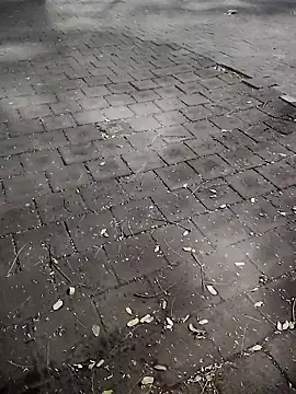 Javierba18301bak online show from 01/09/26, 09:23