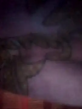 jacka 305 online show from 11/26/25, 07:59