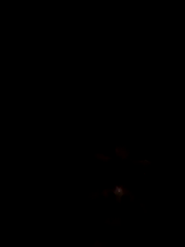 Joseerinaldo99 online show from 02/14/26, 02:08