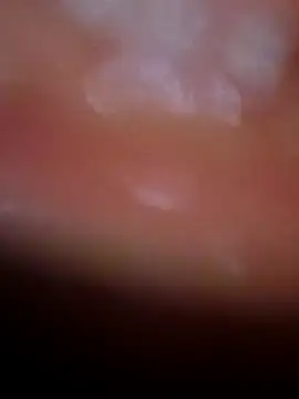 Nisha Hindi online show from 11/25/25, 07:08