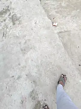 Pagalladka-89 online show from 12/01/25, 06:51