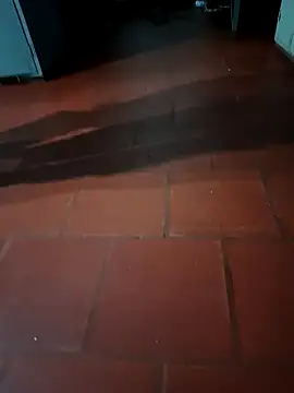 MonasticCanine online show from 02/23/26, 02:09