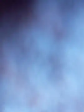 Tayanehot online show from 11/26/25, 09:21