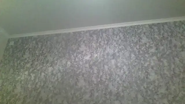 antosha555 online show from 11/29/25, 06:05