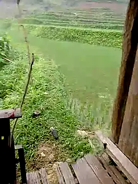 Cloud-wh online show from 04/08/26, 12:10