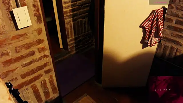 CaramelToy online show from 01/13/26, 06:08