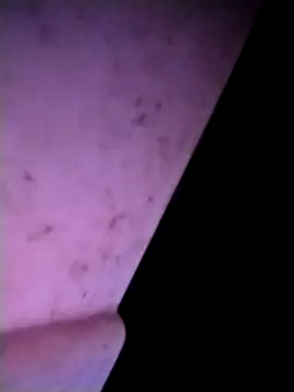 m-mbae online show from 02/25/26, 12:53