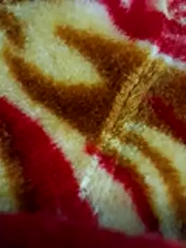 sangeeta lodhi online show from 11/28/25, 06:10