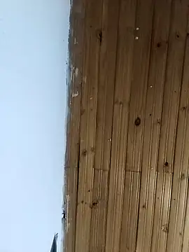 la beba20 online show from 01/11/26, 03:55