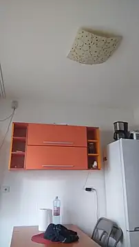 Snapshot of Dale_E chatting on 01/28/25, 08:36 Dale E online show from 01/28/25, 08:36