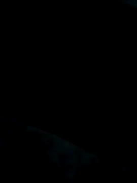 Heterobusca online show from 11/20/25, 07:52