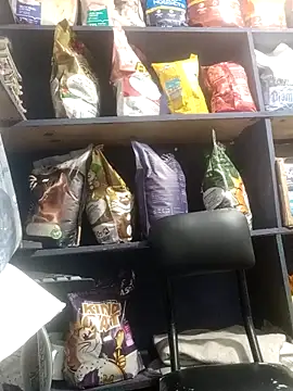 eva rushh online show from 03/09/26, 10:58