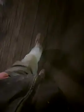 Phil-jae online show from 11/21/25, 07:18