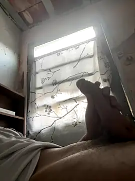 Snapshot of 24_c chatting on 12/02/25, 11:04 24 c online show from 12/02/25, 11:04