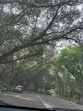 sexyayeshadesi online show from 11/20/25, 05:29