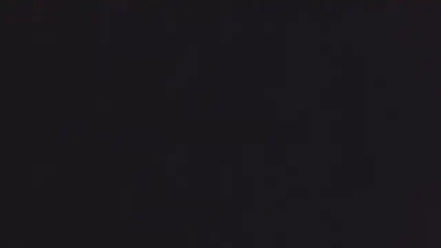 lizmy online show from 12/18/25, 02:50