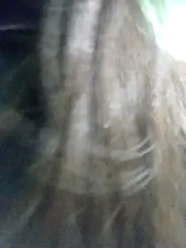 Disha Nur0 online show from 02/07/26, 08:45