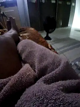 krett65 online show from 12/05/25, 01:03