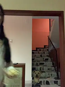 Dannii- online show from 04/11/26, 10:47