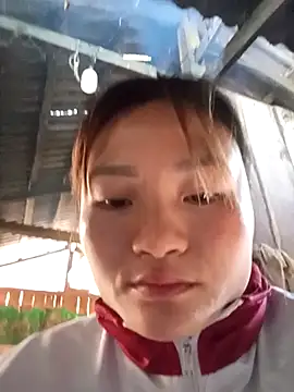 Lee-Thee online show from 11/23/25, 01:38