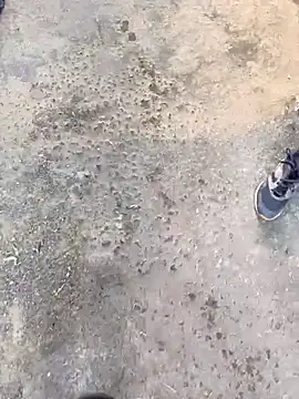 Playboy pune  online show from 11/19/25, 10:04