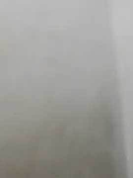 Snapshot of fpic chatting on 02/02/26, 01:48 fpic online show from 02/02/26, 01:48