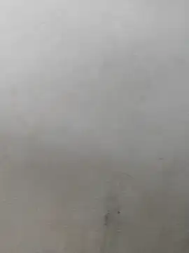 Snapshot of fpic chatting on 02/07/26, 04:22 fpic online show from 02/07/26, 04:22