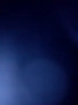 Martins2444 online show from 11/24/25, 08:14